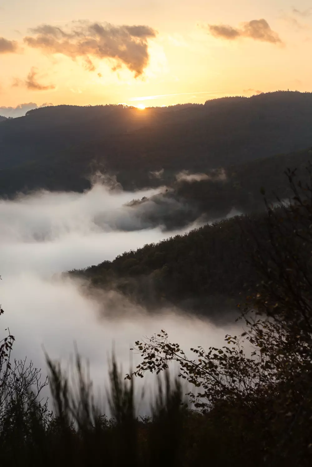 coucher-de-soleil-foret