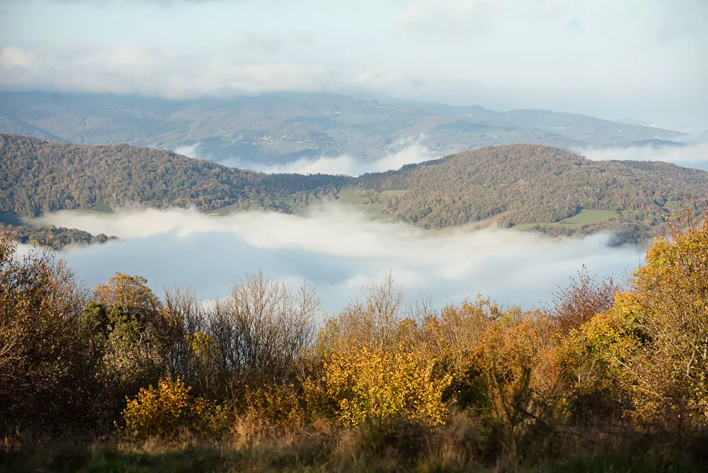 paysage-landes-beaujolais