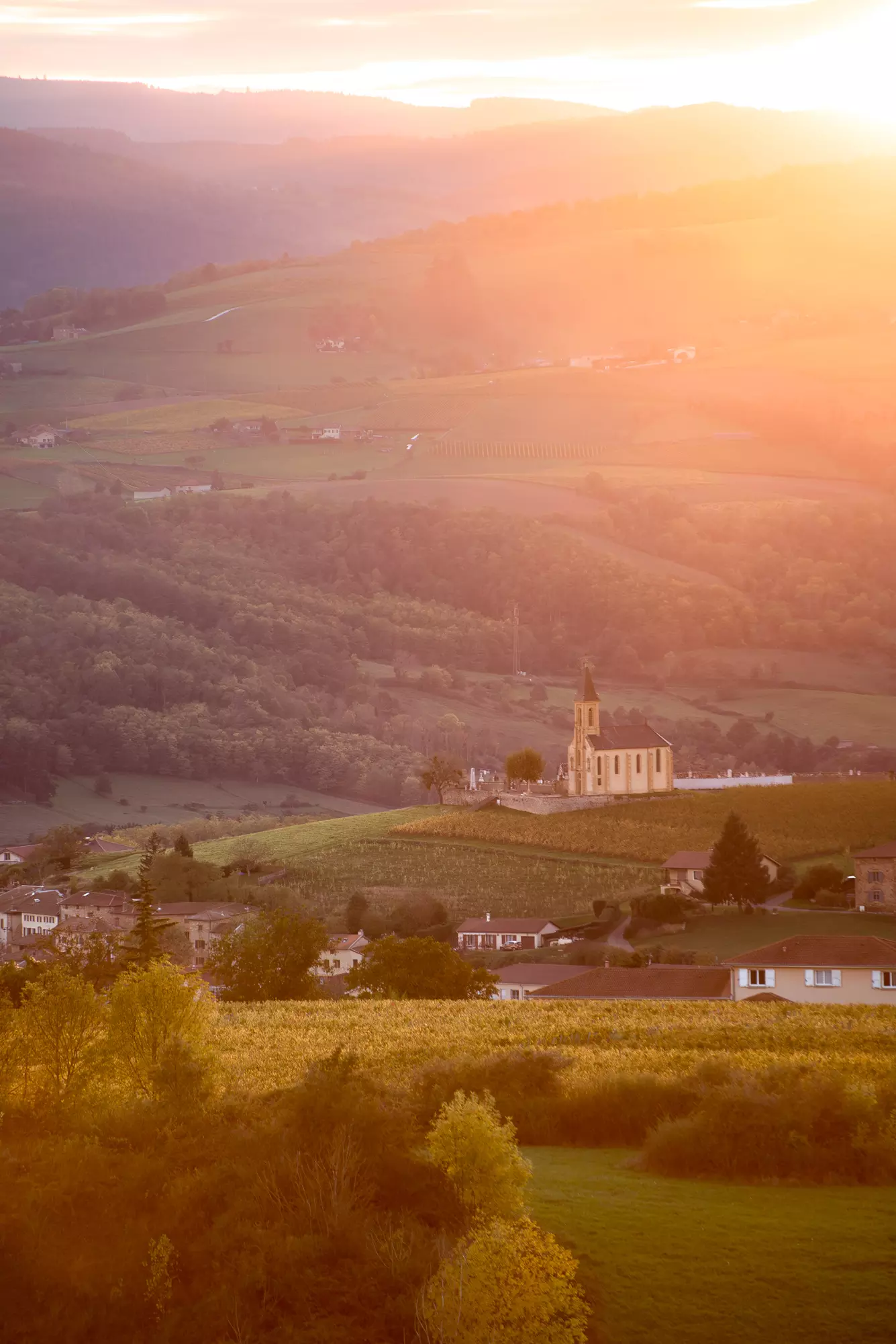 41-south-photographe-beaujolais-fleurie-1-2