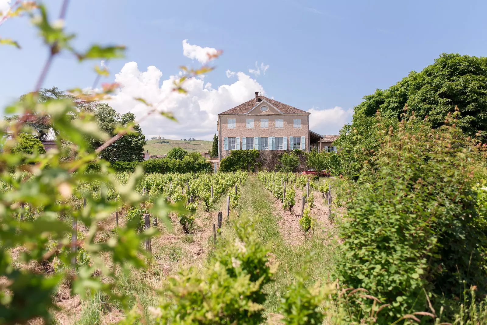 Château des Bachelards surrounded by vineyards in Fleurie, Beaujolais