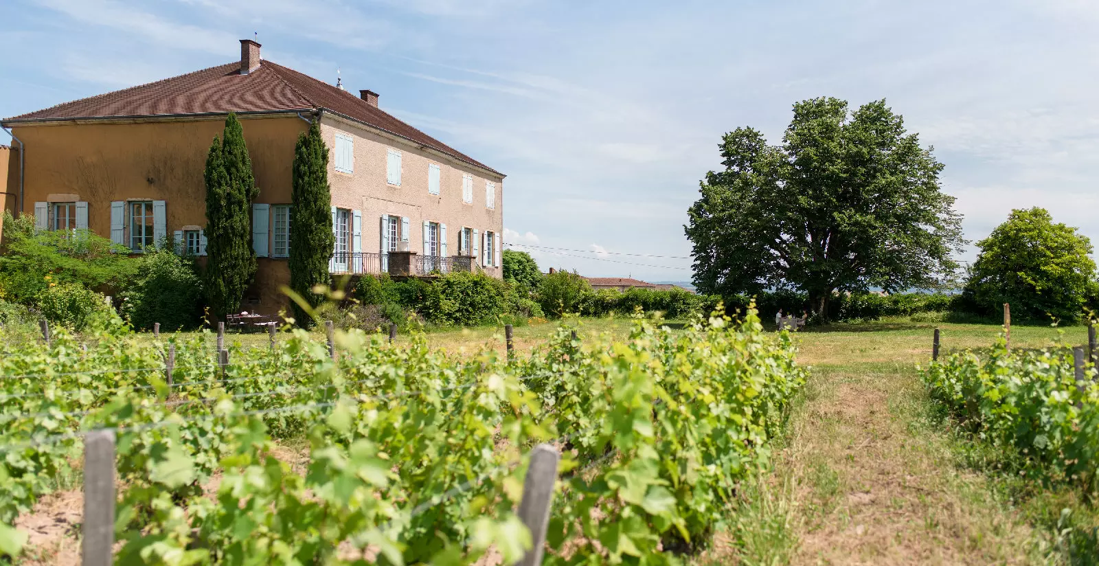 Vineyards around Château des Bâchelards in Fleurie